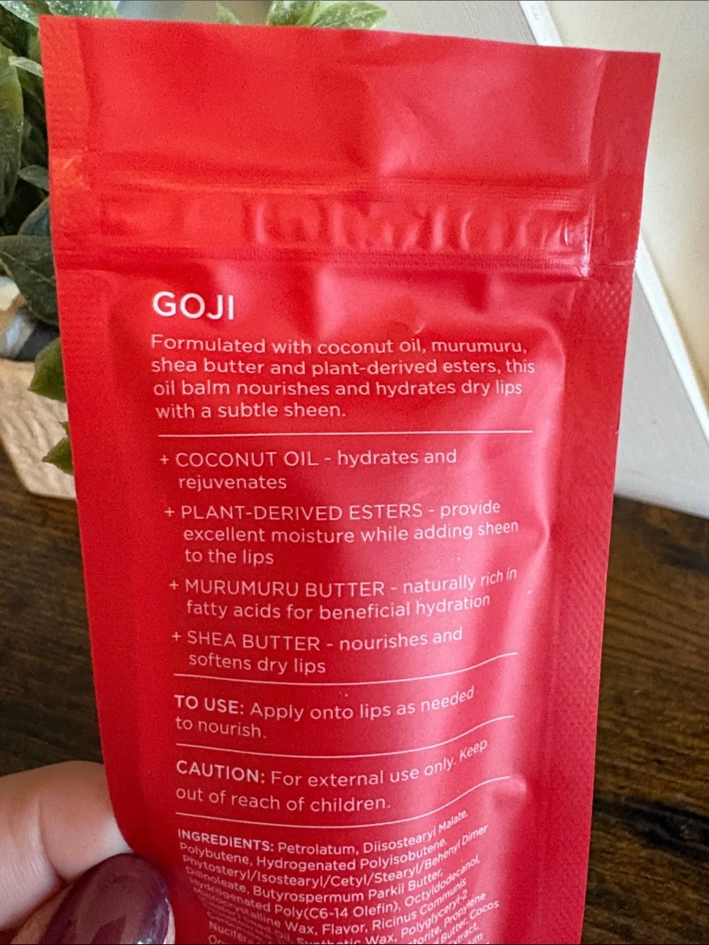 Saltair GOJI Lip Oil